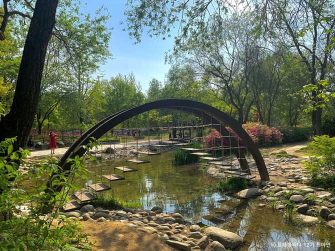 Explore Seoul Forest - image 9