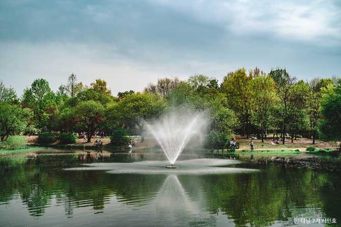 Explore Seoul Forest - image 8