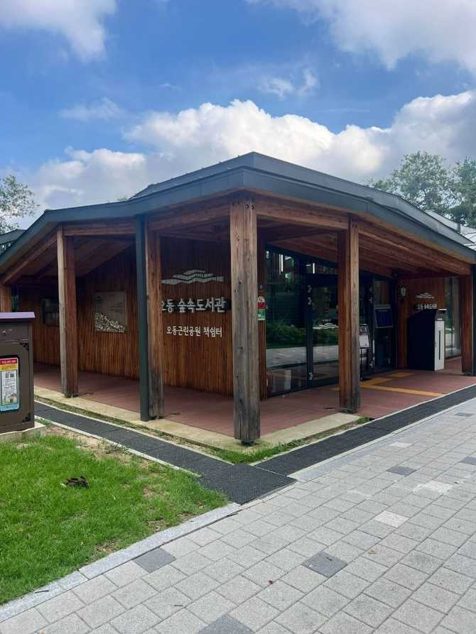 Discover Odong Forest Library - image 9