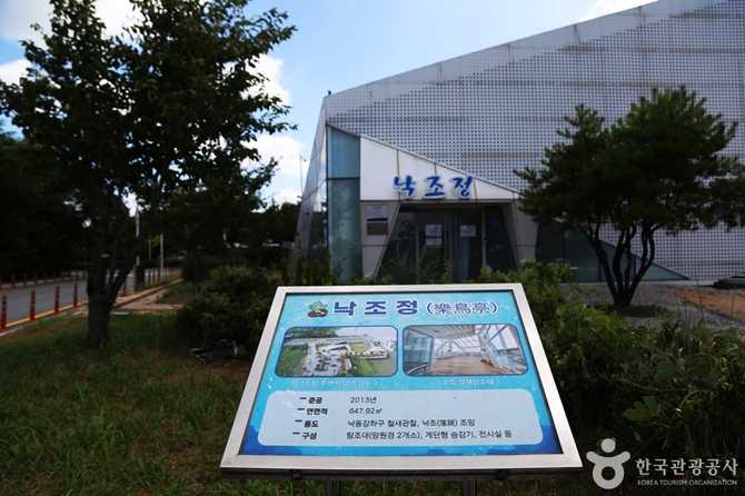 Discover Nakjojeong - image 10