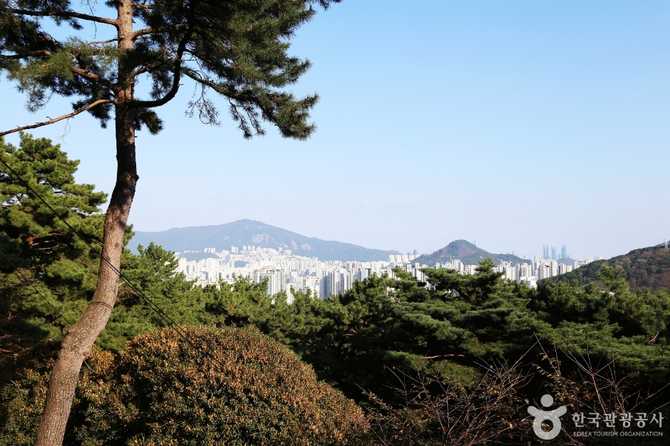 Discover Geumyongam Temple in Busan - image 10