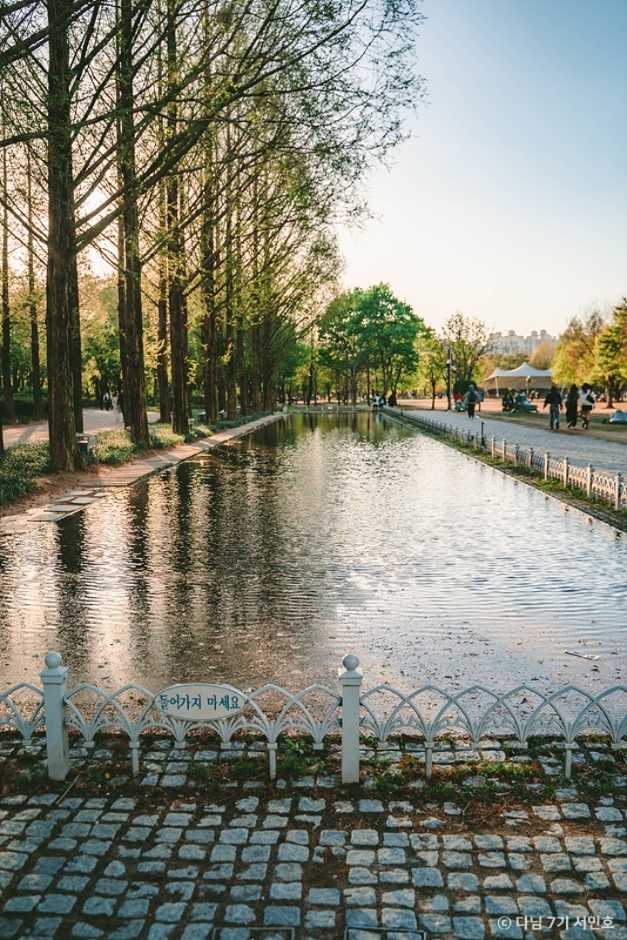 Explore Seoul Forest - image 6