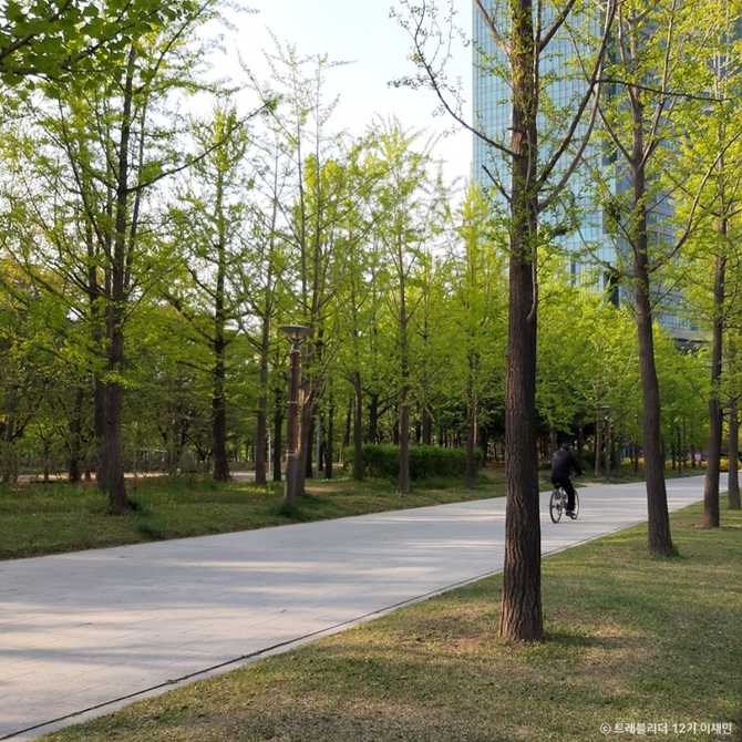 Explore Seoul Forest - image 13