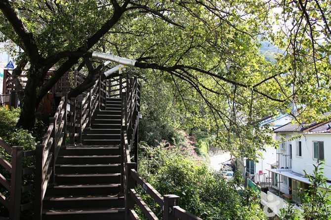 Discover Busan Gaegeum Cherry Blossom - image 14