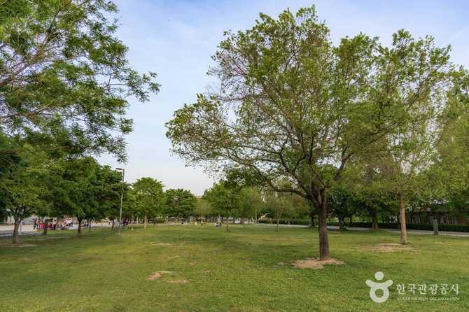 Discover Ttukseom Hangang Park Wall - image 1