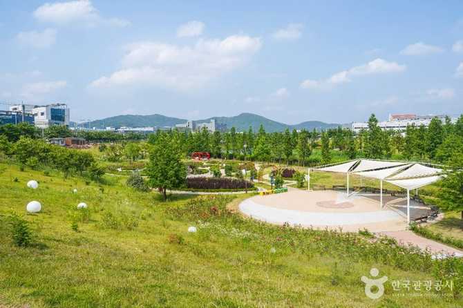 대구 달성군 세천늪테마정원 방문 가이드와 추천 명소 2