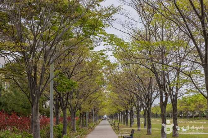 Discover Amir Park - image 5