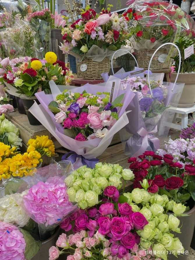 Yangjae Flower Market Guide - image 1