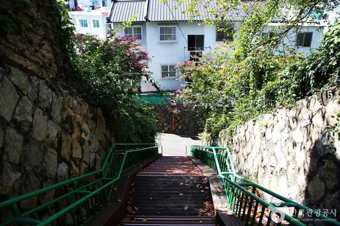 Discover Busan Gaegeum Cherry Blossom - image 13