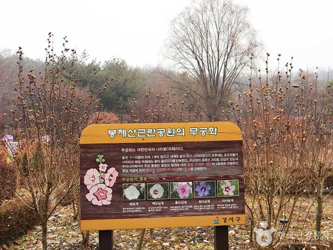 Explore Bomje San Park - image 1