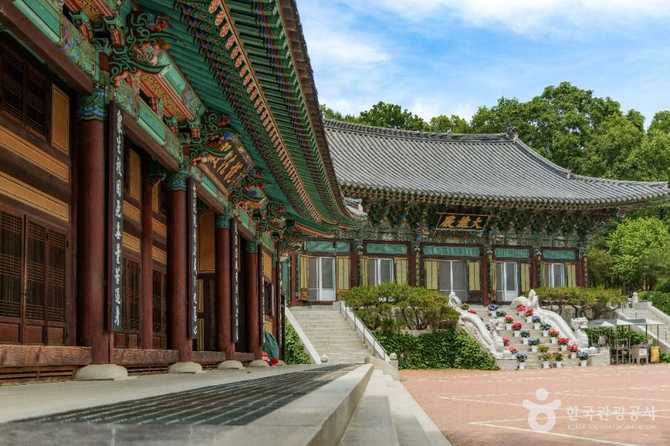 Discover the Historic and Natural - image 2