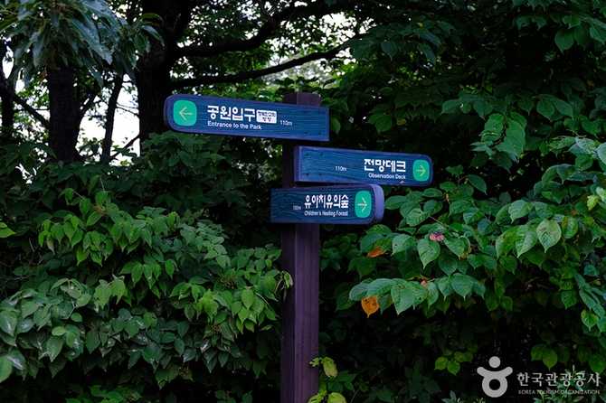 서울 송파구 천마근린공원 안내 및 체험 정보 8