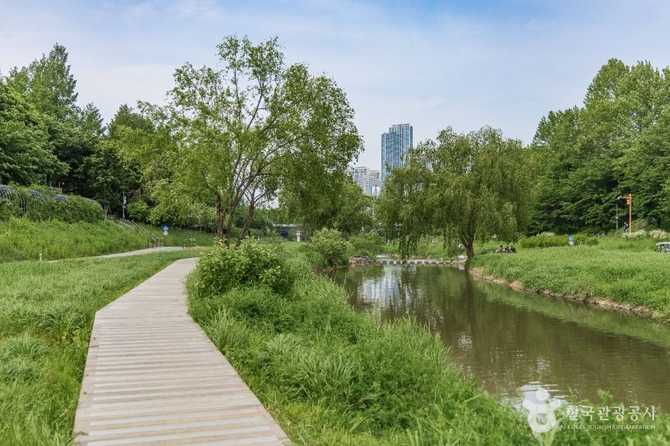 Discover Yangjaecheon Neighborhood Park - image 1
