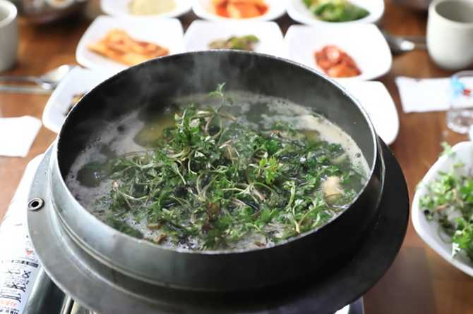 부산 기장 자연산 물회 맛집, 진품물회 소개와 방문 정보 2