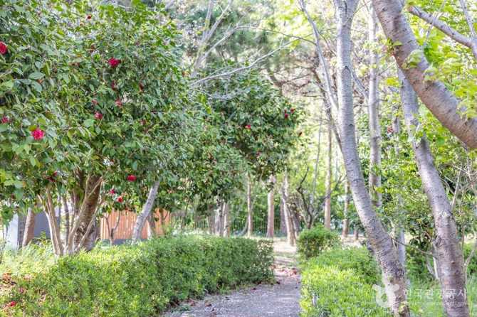 Discover Gogh's Path in Busan - image 1
