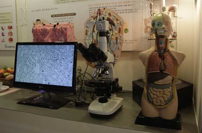 서울 송파구 잠실에 위치한 인간과 로봇 과학관 소개와 체험 정보 2