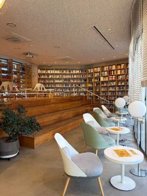 Discover the Charm of Yangcheon - image 2
