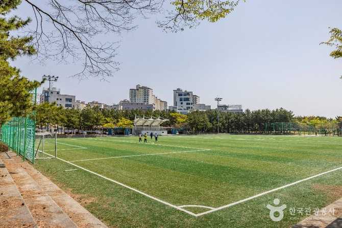 Discover Signo Park - image 4