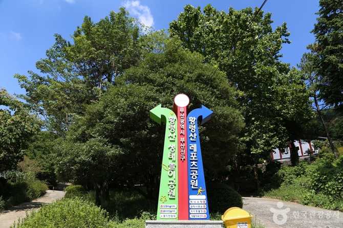 Discover Busan's Hwangryeongsan Leisure - image 1