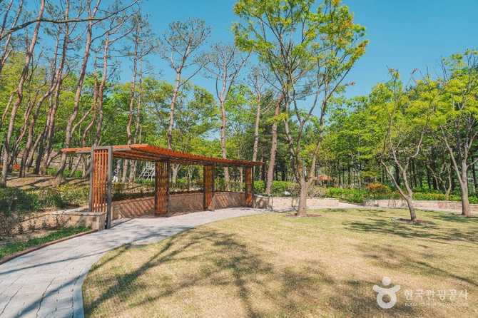 Discover HanSol Neighborhood Park in - image 1