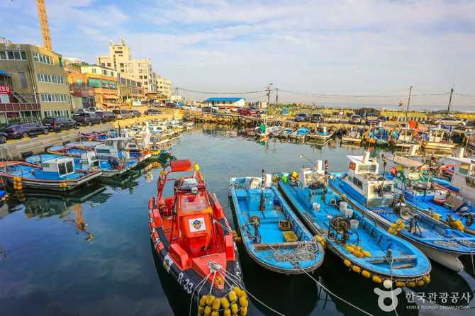 Explore Mipo Port in Busan - image 3