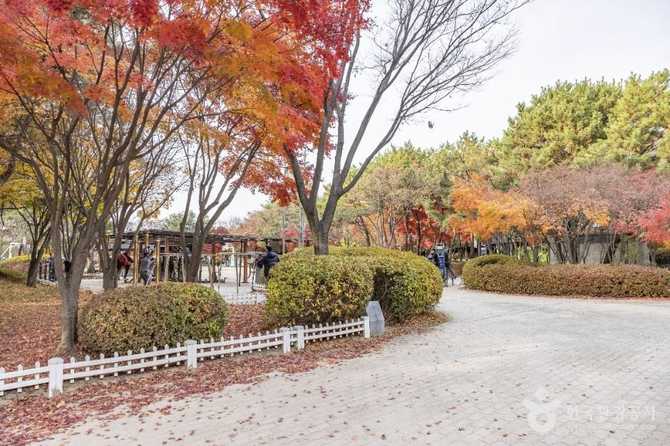 Discover Geumcheon Sports Park - image 4
