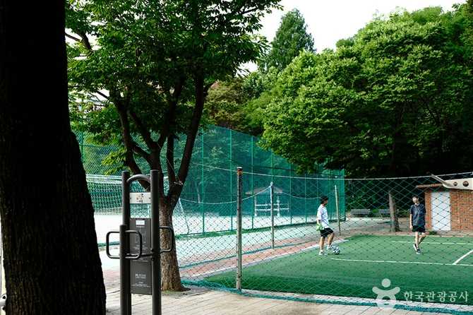 노해체육공원 안내 및 이용 정보 - 서울 노원구의 대표 근린공원 2