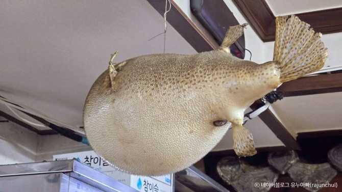 Experience Authentic Korean Fish Soup - image 1