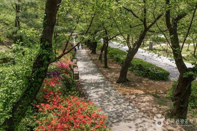 서울 강북 대표 공원, 북서울꿈의숲 방문 가이드와 핵심 정보 2