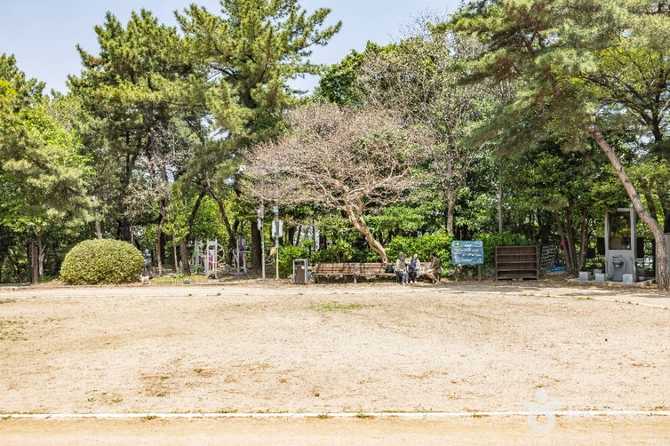 부산진성공원 안내와 방문 정보: 부산 동구의 역사와 자연을 만나다 11