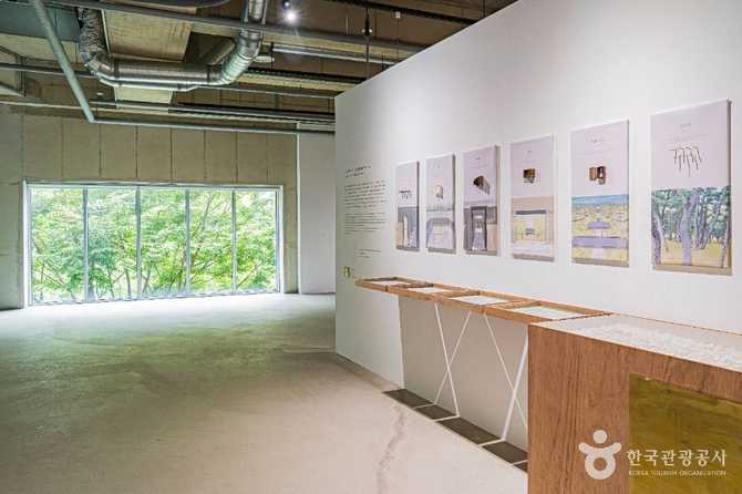 Discover Sabina Art Museum - image 1