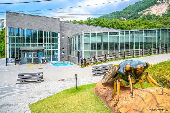 서울 노원구 불암산나비정원 방문 가이드 및 체험 정보 8