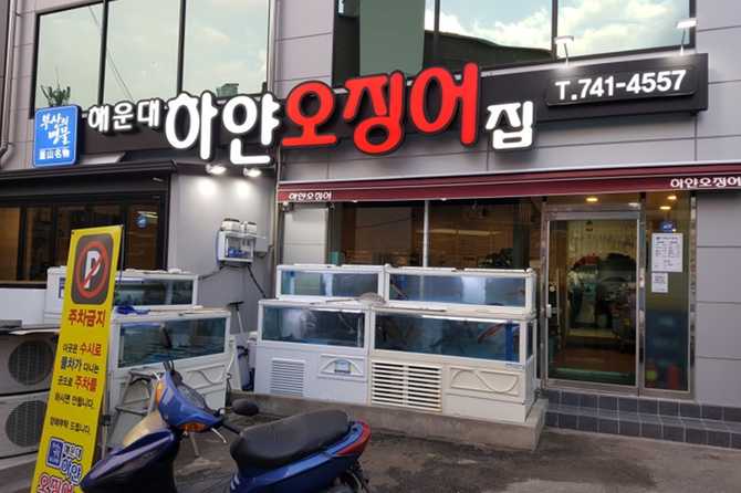 부산 해운대 하얀오징어집, 얇게 썬 오징어회와 다양한 해산물 맛집 2