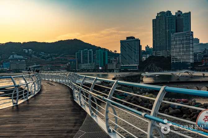 송도 구름산책로: 부산의 대표 해변 산책로와 명소 소개 9