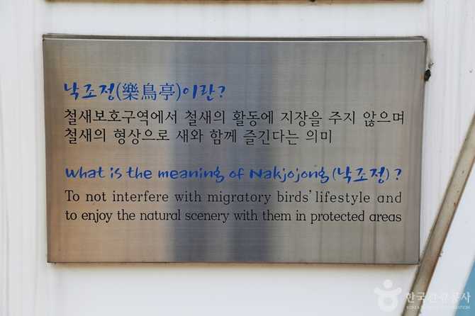 Discover Nakjojeong - image 13