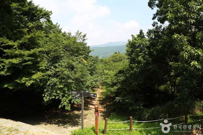 Discover Geumjeongsanseong Dongmun Gate - image 12
