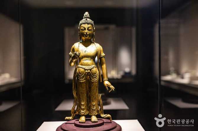 부산박물관 소개와 방문 정보: 부산의 역사와 문화유산을 한눈에 20