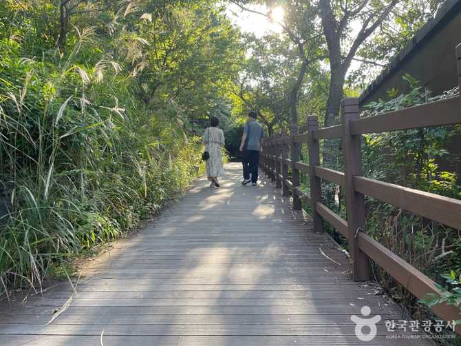 대구수목원 자연생태공원 정보와 방문 가이드 22