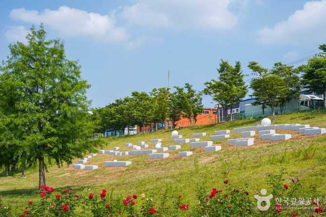 대구 달성군 세천늪테마정원 방문 가이드와 추천 명소 3