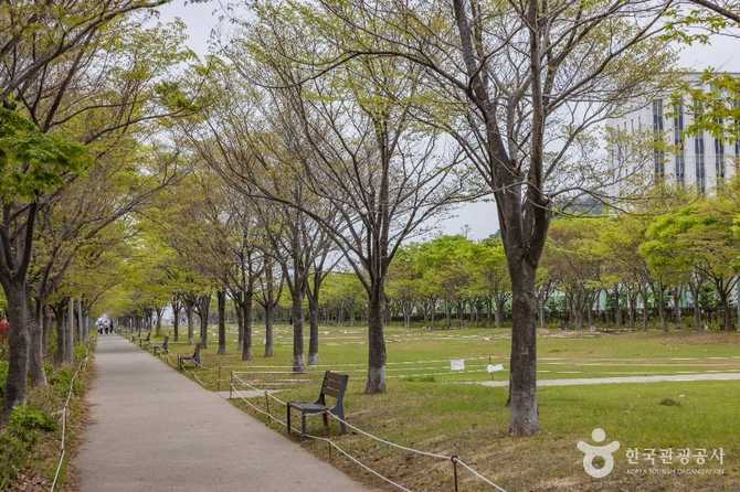 Discover Amir Park - image 4
