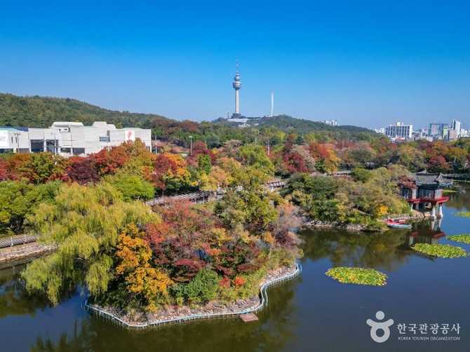 대구 이월드 83타워 전망대와 관광 정보 안내 3