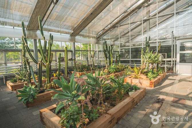 Visit Yileon Eco Park - image 3