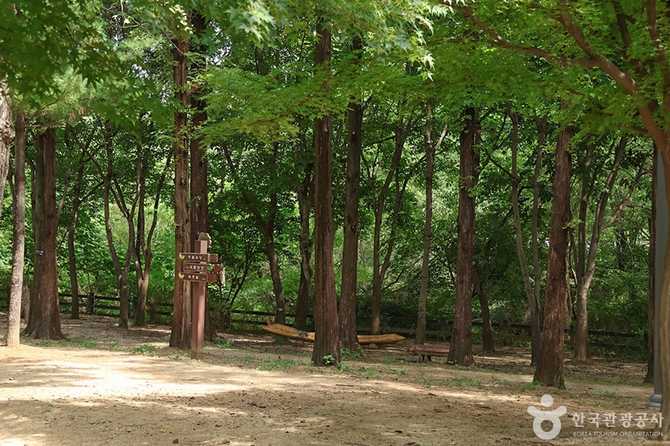 Experience Nature at Seoul's World - image 7