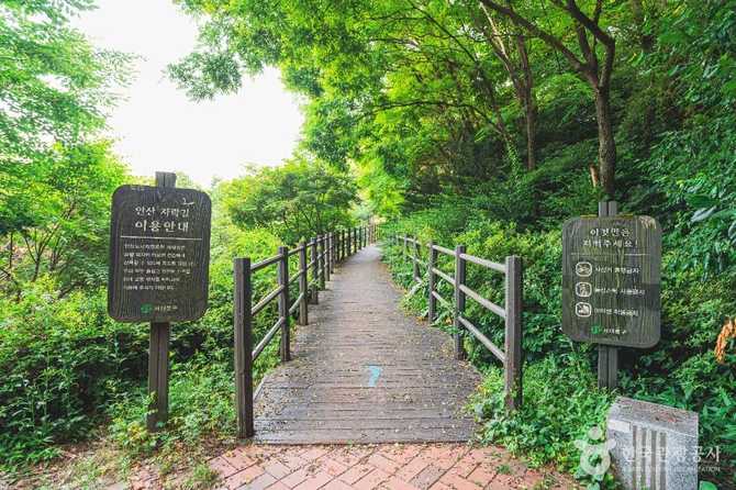 서대문 안산 걷기 코스와 전망 | 서대문 안산(안산자락길) 걷기 코스와 전망 포인트 안내 3