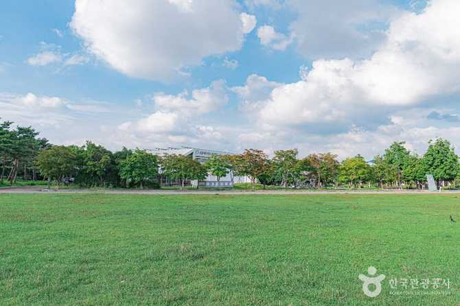 서울 마포구 평화잔디광장: 자연과 도시가 어우러진 휴식 공간 3