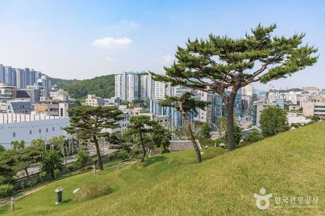 효령대군 이보 묘역: 조선 왕실의 유산과 역사적 가치 3