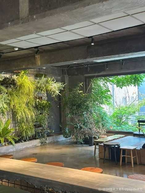 서울 강남구 브라이언스커피: 디저트와 커피가 매력적인 베이커리 카페 3