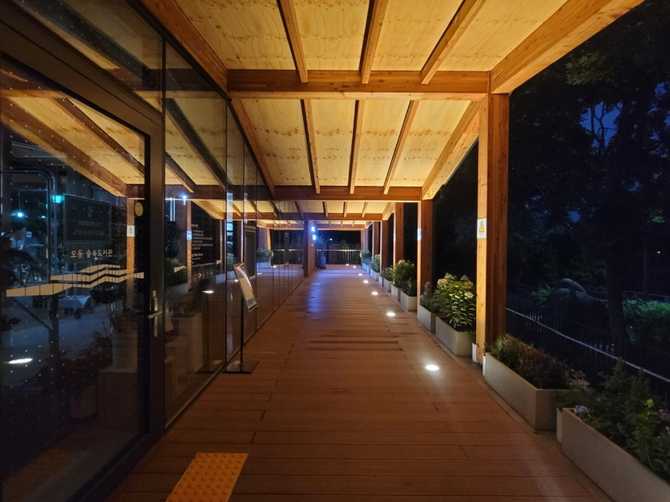 Discover Odong Forest Library - image 14