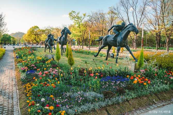 Explore Seoul Forest - image 11