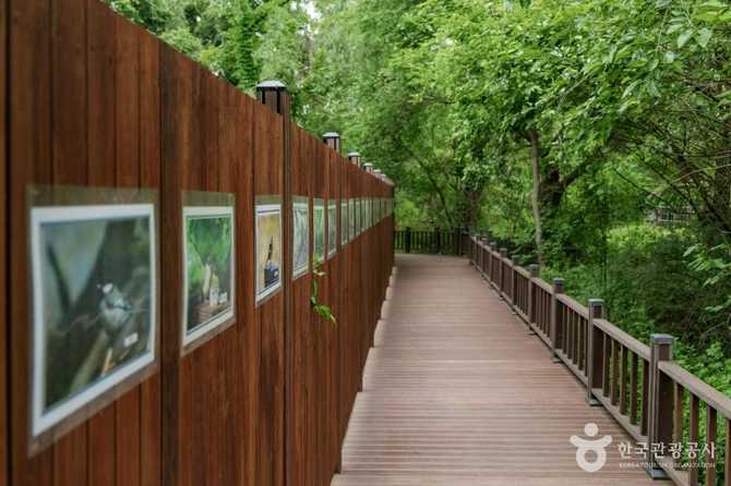 Discover Bangi - image 3